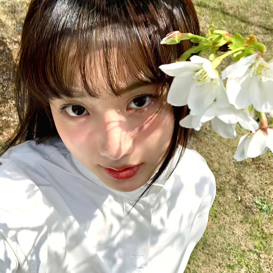 复仇游戏 在线观看