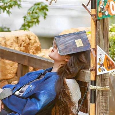摇滚私家侦探 在线观看